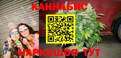 сатива Сланцы