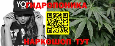 сатива Сланцы