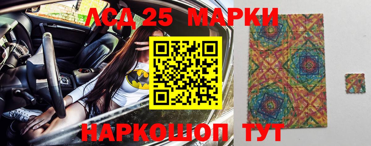 Бошки Шишки Сокол