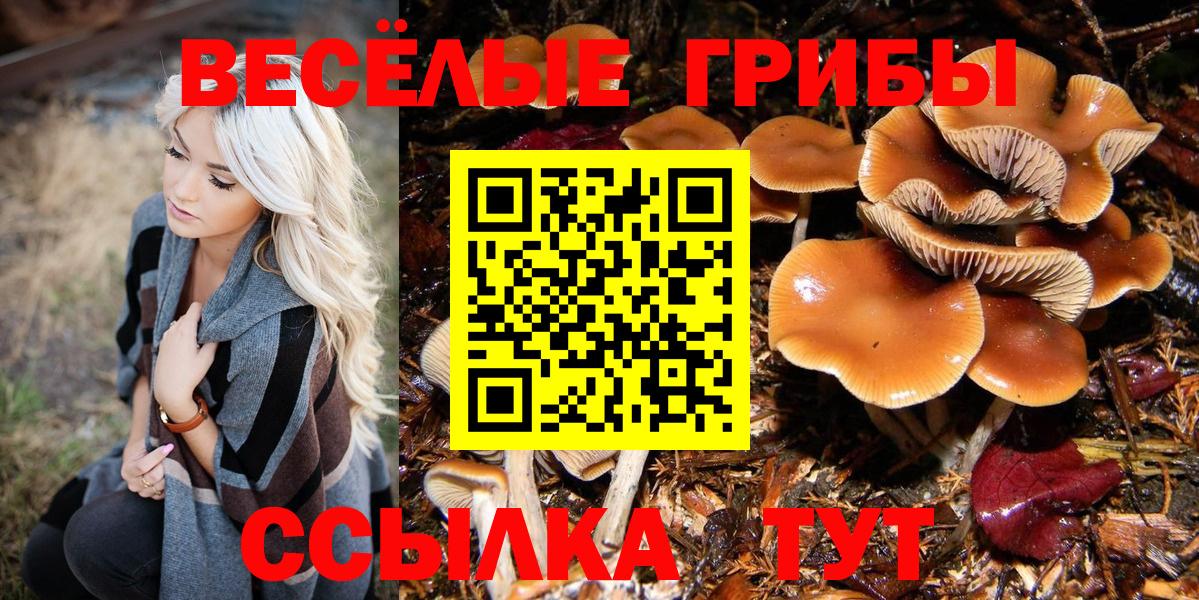 Сокол  Псилоцибиновые грибы Magic Shrooms  Псилоцибиновые грибы мухоморы  купить закладку  Вход с VPN 